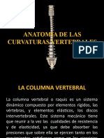 Anatomia de Las Curvaturas Vertebrales