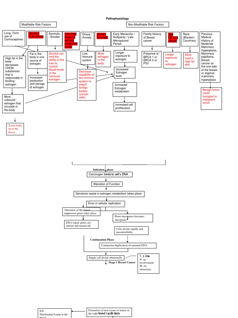 Cancer Pathophysiology To Be Edited | PDF | Metastasis | Breast Cancer