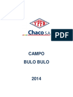 11 Campo BBL 2014