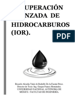 Recuperación Avanzada de Hidrocarburos (IOR) (1).pdf