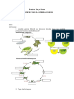 Metamorfosis Dan Metagenesis