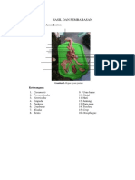 Hasil Dan Pembahasan: 1. Organ-Organ Ayam Jantan