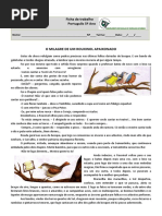 Teste - A Vida Mágica Da Sementinha