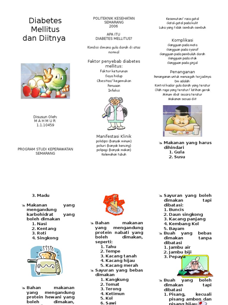 GERIATRI-Diabetes Mellitus Leaflet | PDF