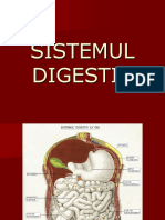 Filehost_Boli Ale Sistemului Digestiv