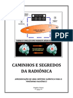 104443485-Caminhos-e-Segredos-da-Radionica.pdf