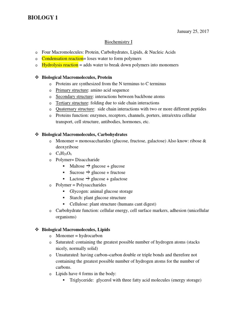 MCAT Biochemistry Review Notes 2025-2026 | PDF | Biochemistry | Chemistry