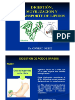 Semana 10 - Lipoproteinas y Movilizacion de Trigliceridos PDF