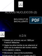 cidosnucleicos2-091019042720-phpapp02