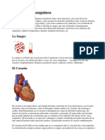 Circulación sanguínea.docx