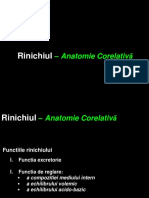 Anatomia Renala