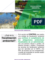 Fiscalización PDF