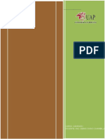 Informe Levantamiento Topografico para Carretera