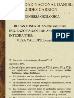 14 ROCAS FOSFATICAS-ORGANICAS.ppt