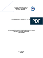Fabiane Ferreira 2012 PDF