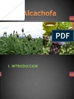 Cultivo de Alcachofa
