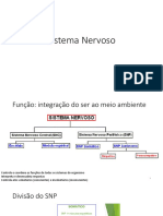 1- Sistema Nervoso