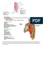 Mediastinum.docx