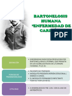 Bartonelosis 121117181459 Phpapp01