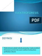 Elektroforesis Ibukkkkk