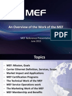 Overview of The Work of The MEF 20130610