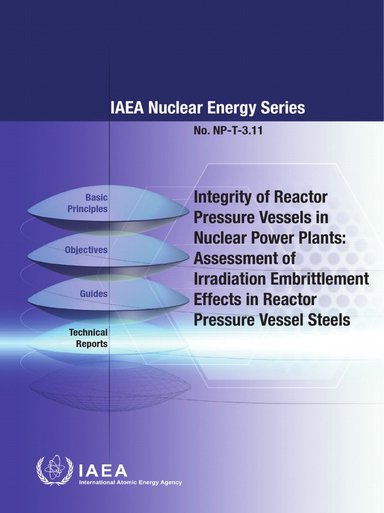 Integrity of Reactor Pressure Vessels in Nuclear Power Plants