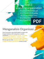 Analyzing Organization