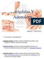 Amigdalas y Adenoides