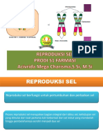 Reproduksi Sel