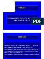 Caracteristicas de La Sinapsis PDF