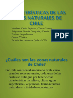Características de Las Zonas Naturales de Chile