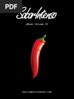 eBook VolII DEMO Issue