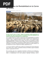 Estrategias de Rentabilidad en La Carne de Ovino