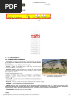 Organização Dos Ecossistemas