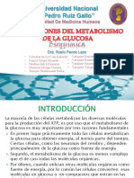 Seminario n 02 Bioquímica Alteraciones Del Metabolismo de La Glucosa (1)