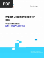 Impact Documentation For BSC