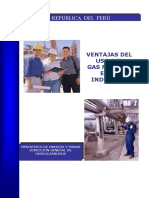 Gas 20natural PDF