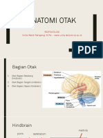 4.-ANATOMI-OTAK.pdf