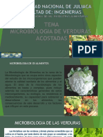 Microbiologia de Verduras Acostadas