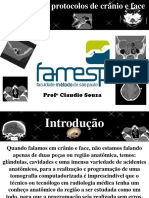 protocolos-por-tc-crc3a2nio-e-face.pdf
