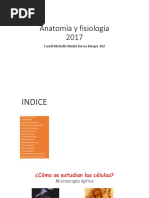 Anatomía y Fisiología