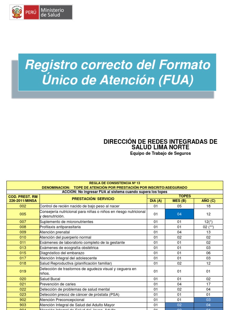 Registro del Formato Único de Atención FUA | PDF | Salud maternal ...