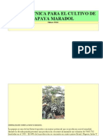 Ficha Tecnica Para El Cultivo de Papaya Maradol