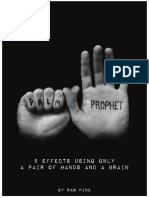 254039029-Palm-Prophet-by-Ran-Pink-pdf.pdf