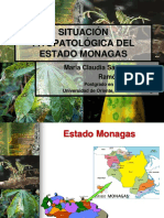 CONFITO 2009 Situación Monagas