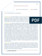 Ensayo Sobre El Medio Ambiente y La - Con