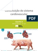 Constituição Do Sistema Cardiovascular