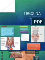Tiroxina y GT