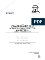 Ensayo de la Aproximación Cognitivo Conductual