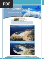 Rapport Tanger Med